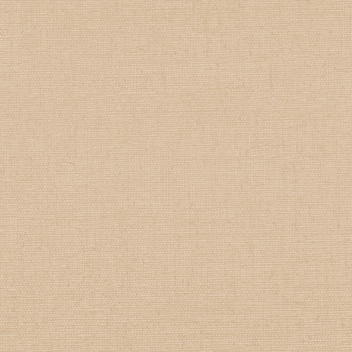 LINUM TN81 Dust