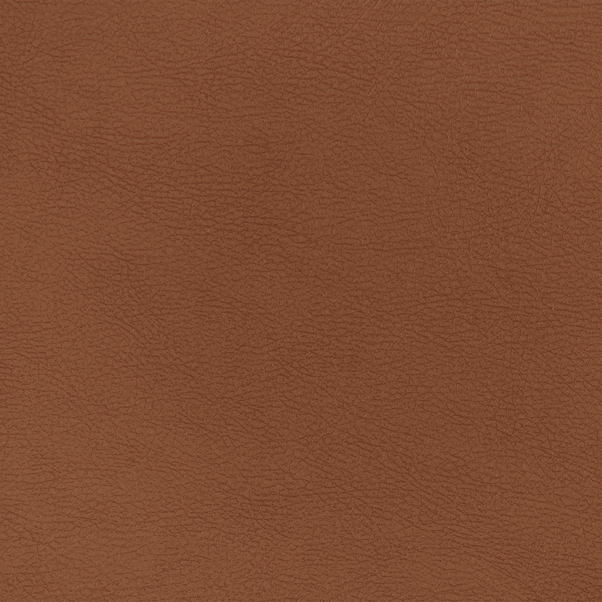 EXCLUSIVE PT83 Cognac