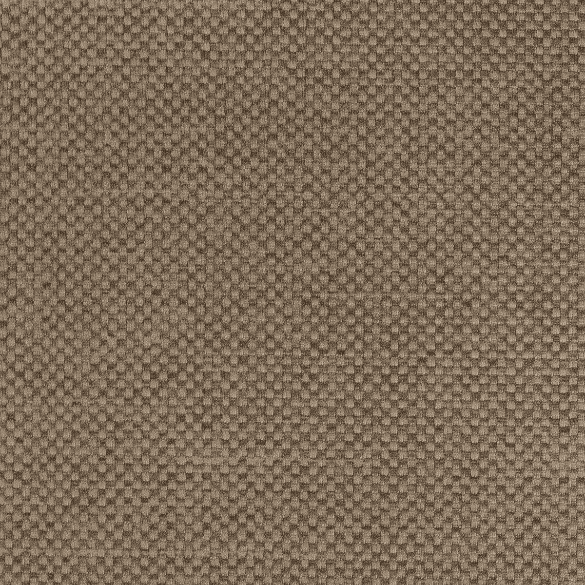 URBAN TN71 Truffle