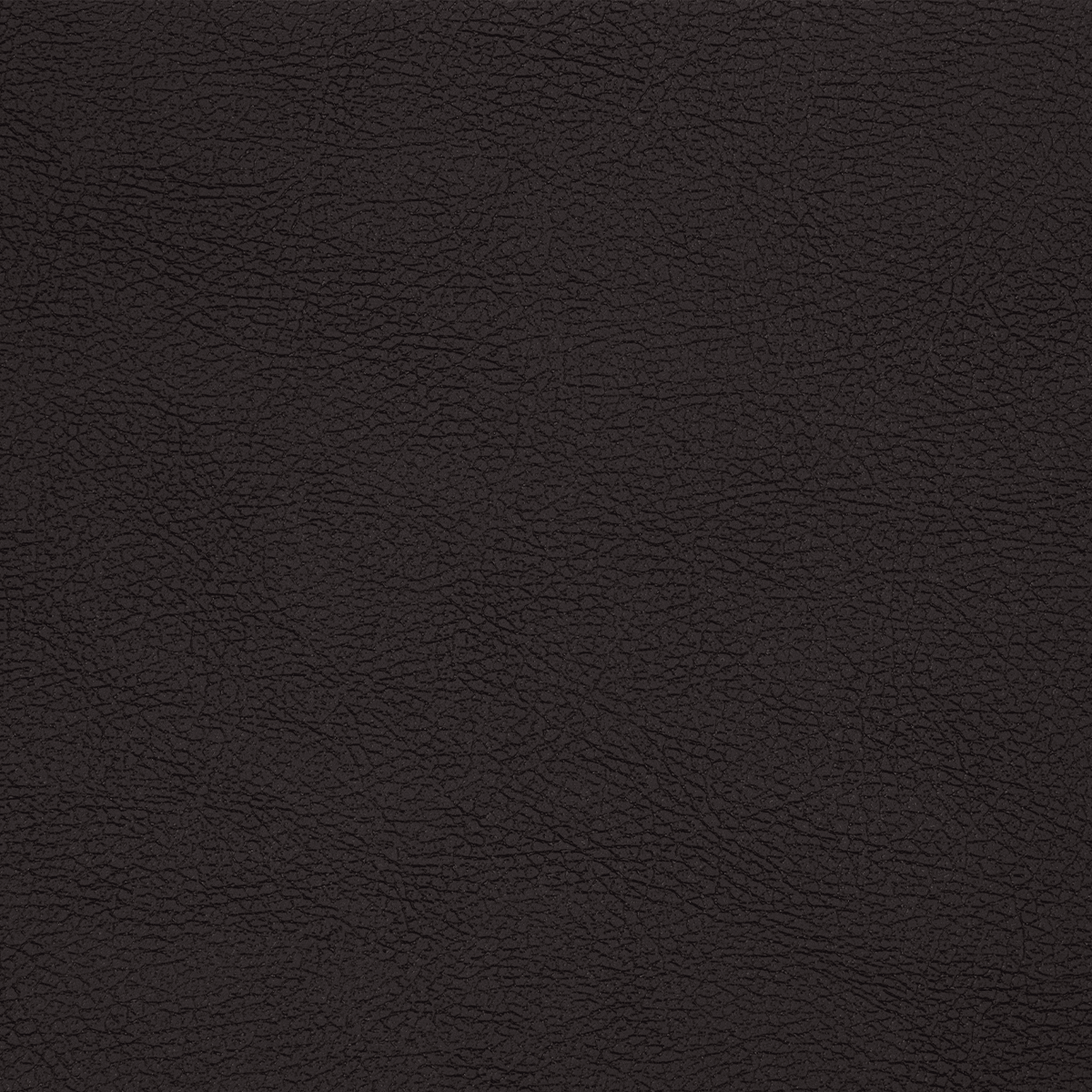 EXCLUSIVE PT89 Black