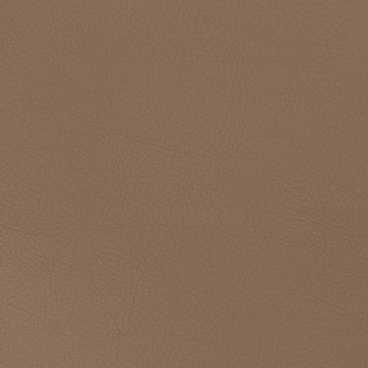 DOMUS TC25 Sumatra