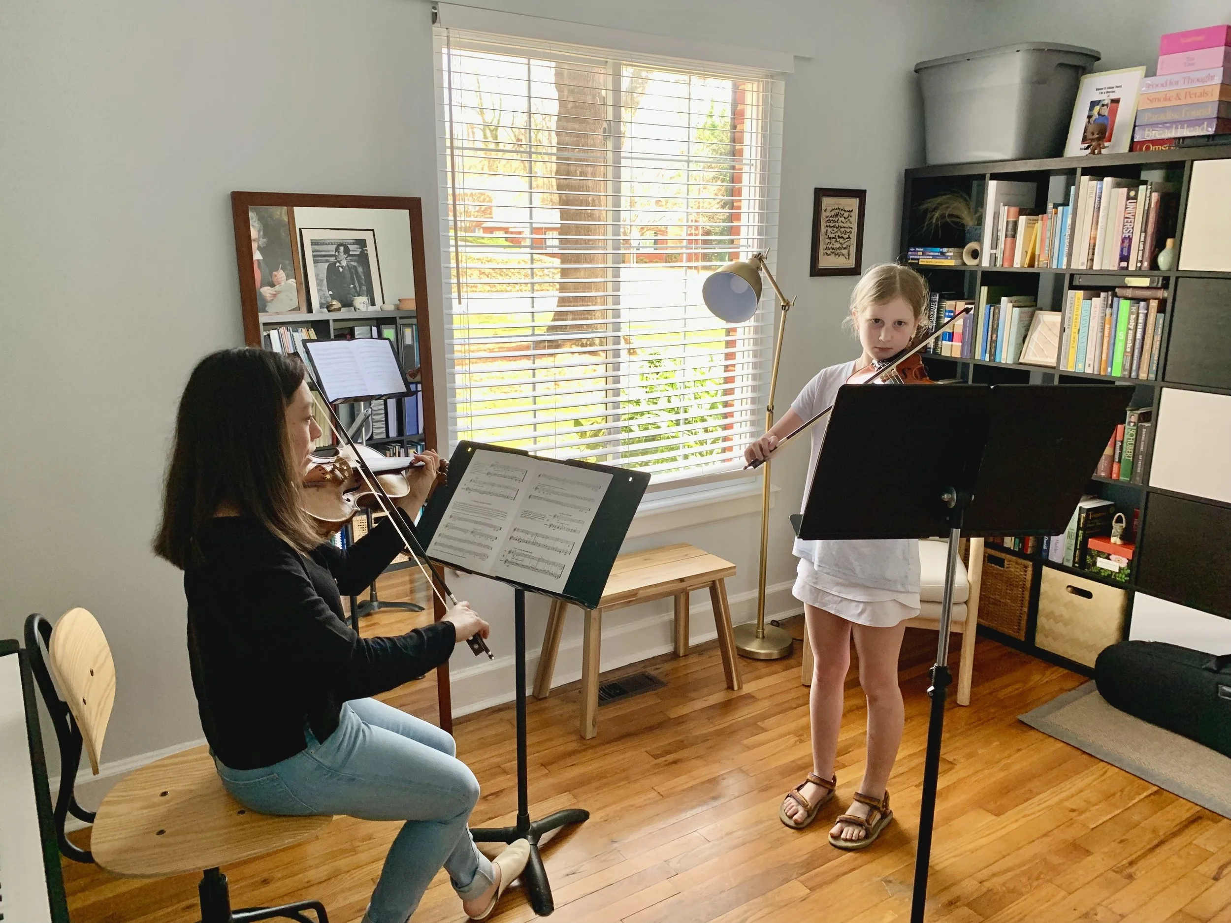 Violin lessons and viola lessons WinstonSalem — Duo Licht