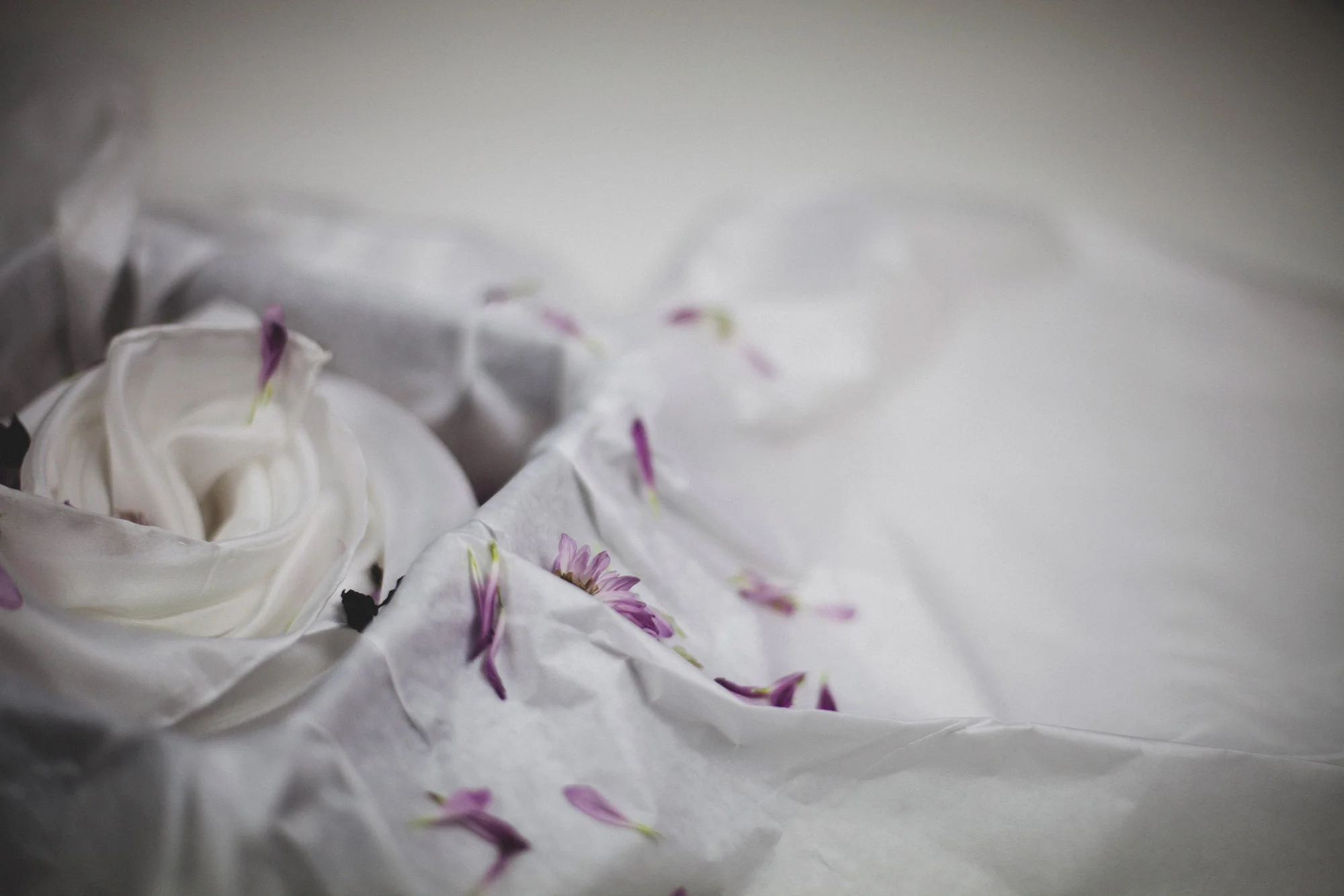 Koebenhavs-Plantefarveri-Blank-Canvas-Collection-Silk-scarf-8.jpg