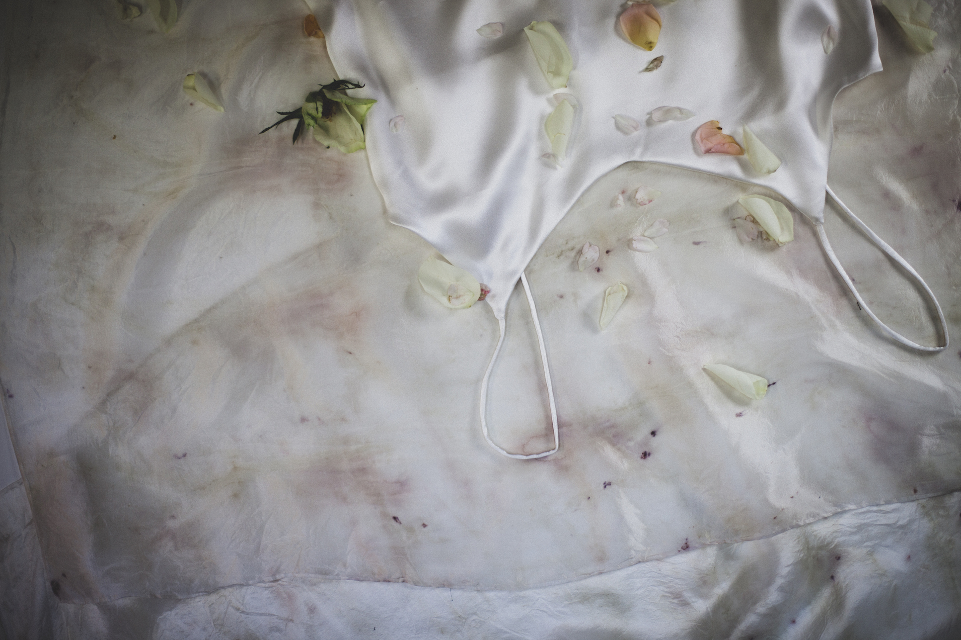 blank-canvas-string-top-web.jpg