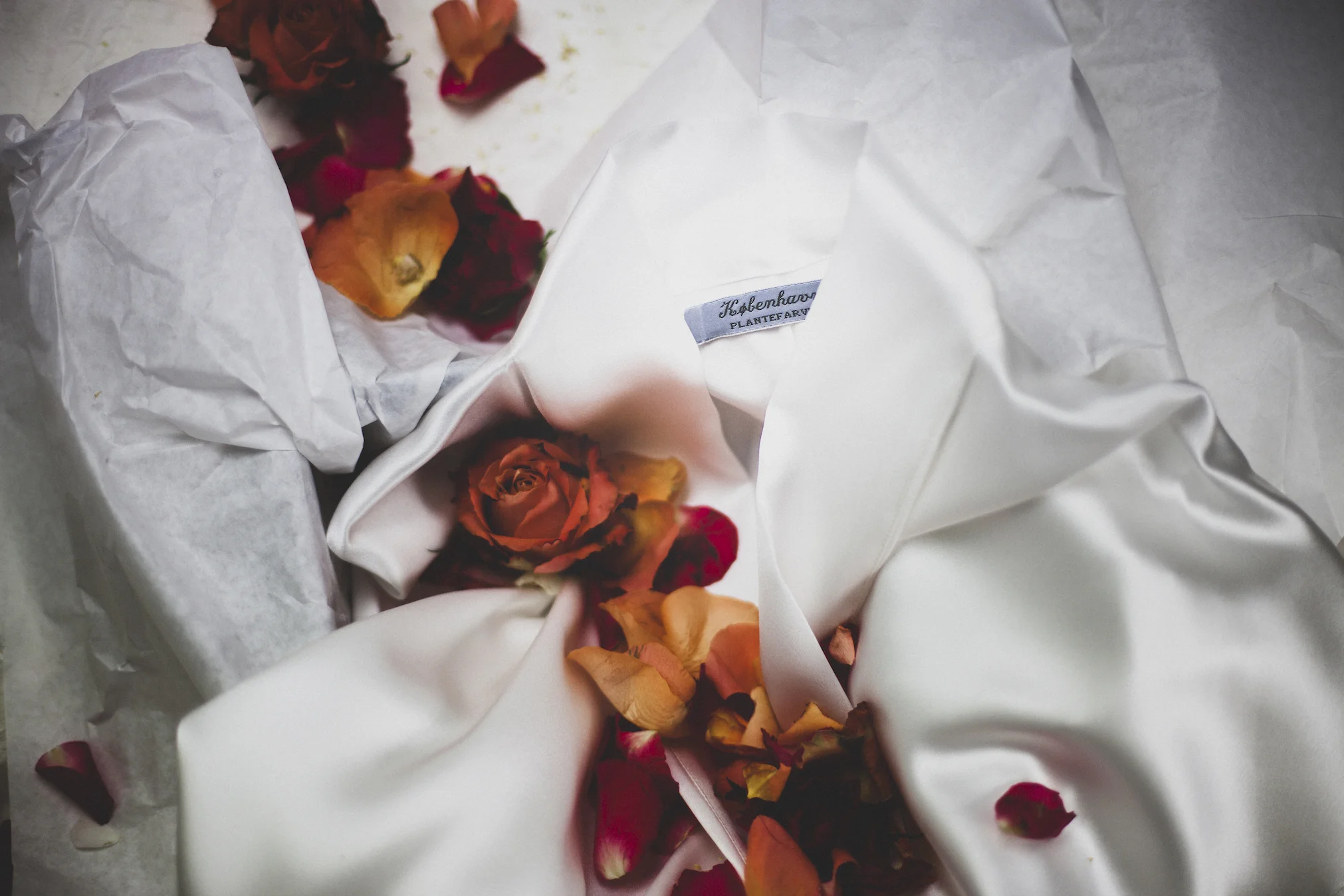 blank-canvas-collection-web.jpg
