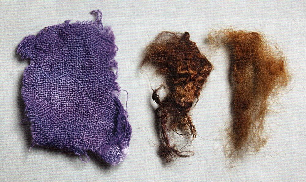 Samples of wool and sea silk dyed with shellfish purple - and raw undyed sea silk to the far right

Photo: Inge Boesken Kanold &amp; Anne Sicken