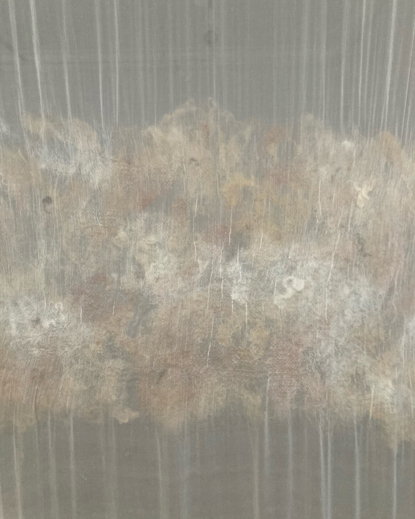 Havuld / Sea Wool, 2024