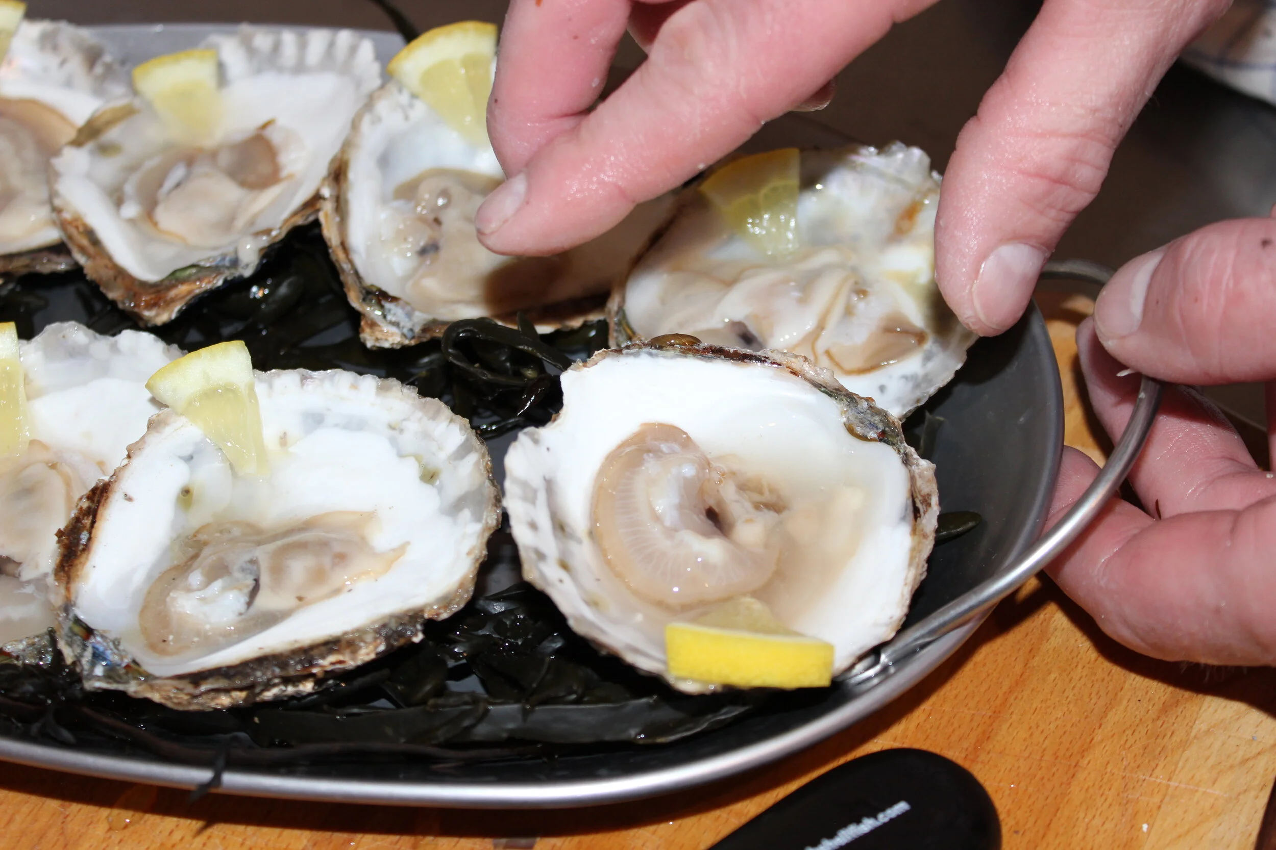 &nbsp;  Le trésor sauvage et le vin froid