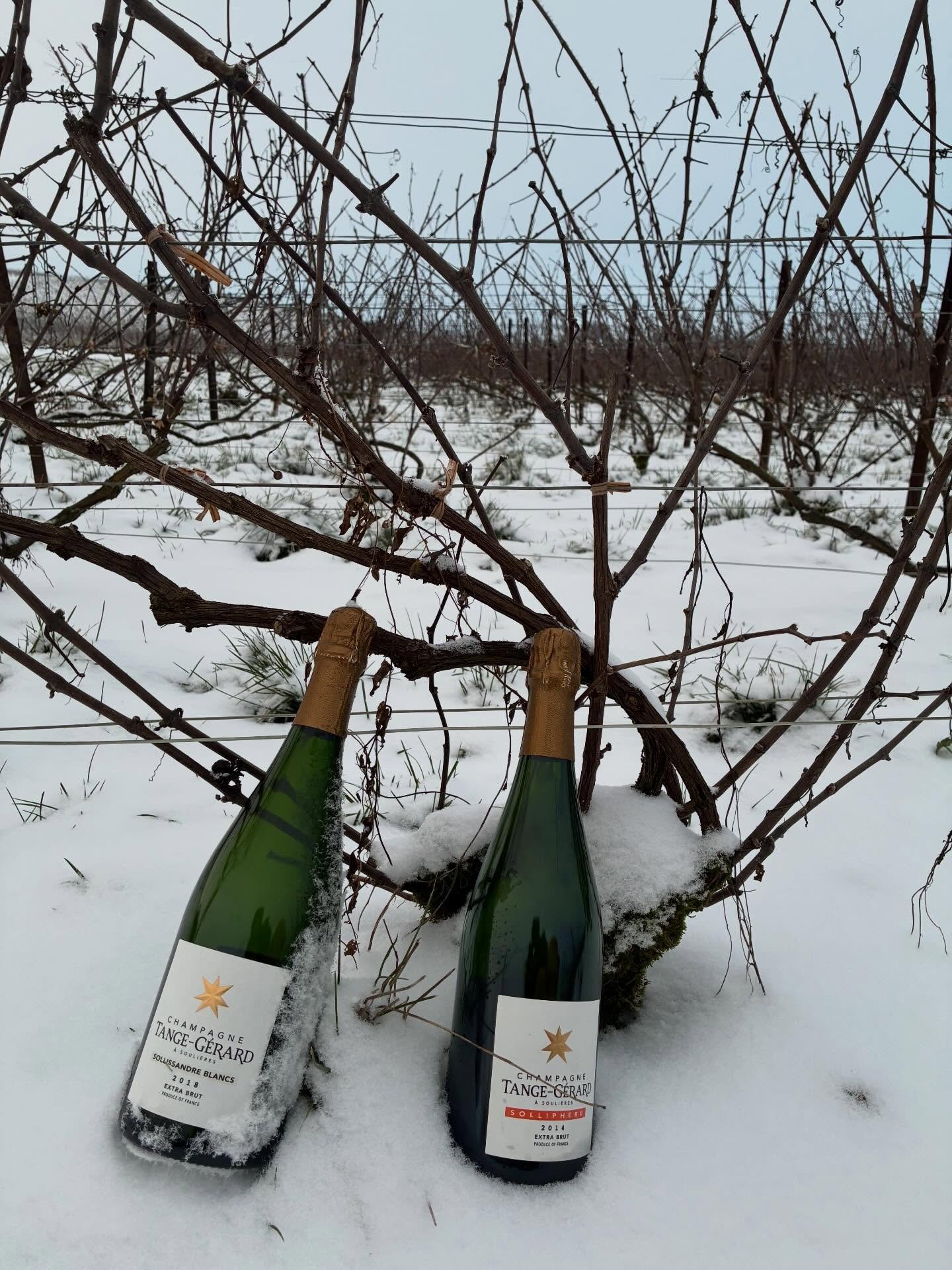 Winter weather and cold winds from the West have in every way taken over after cozy Christmas celebrations and the first New Year festivities. 2026 is truly underway on many fronts and not necessarily only in ways we had hopes. We would like to wish 