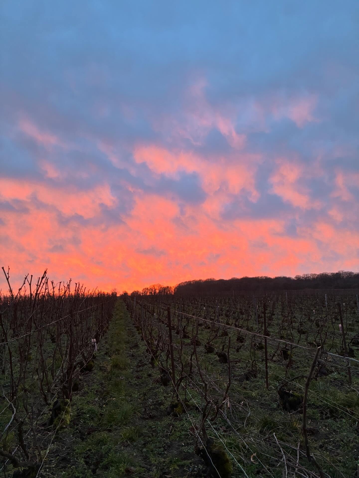 When the sun switches the big light on, it is time to wrap up and walk back home. The blue sky gone orange is a matter of a few minutes before the night sky follows. These few moments of wow were our moment of wintersun today.  Still the day is now a