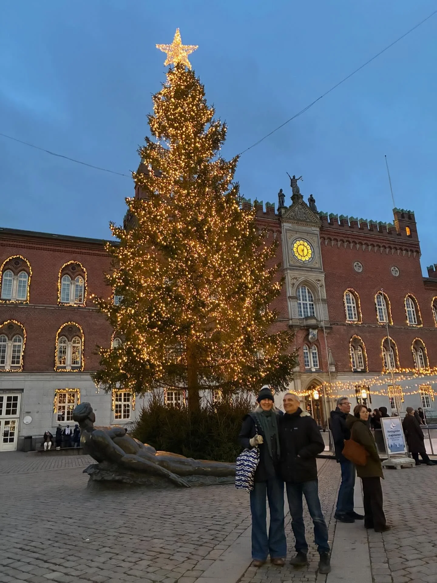Joyeux No&euml;l - Merry Christmas - Gl&aelig;delig jul 
*
We wish you all peaceful, happy days with cheerful activities with your dear ones. We enjoy a glass of champagne but equally a quiet walk by the sea or in the beautifully lit smalltown where 