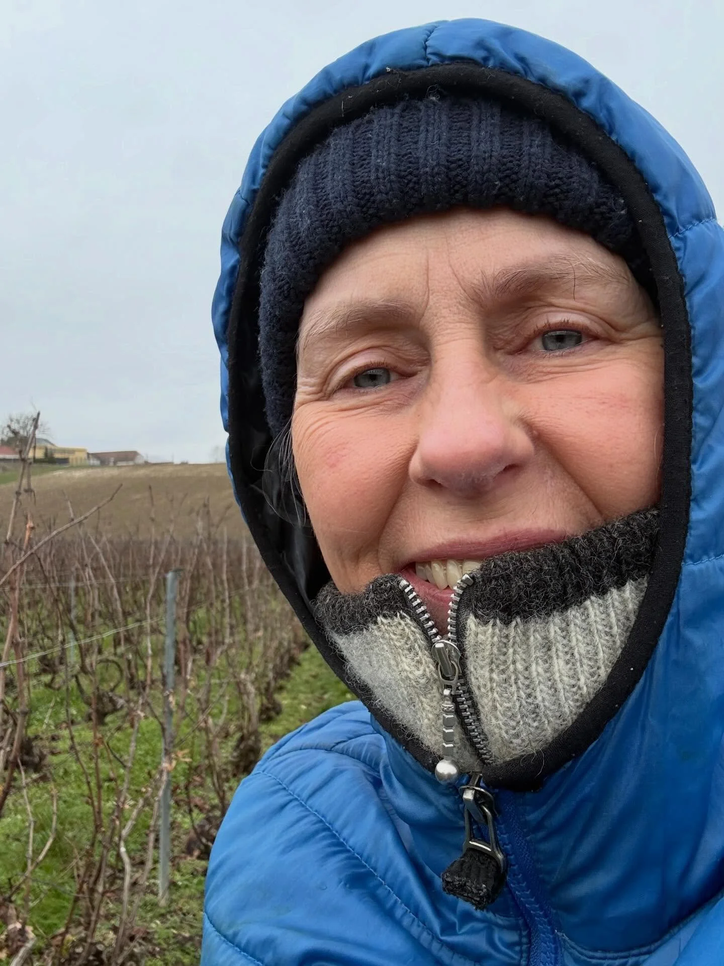 Hello there. These last weeks we prune grapevines every day. As you may guess from the photos, the weather is varied. We could compare it to international politics. You may have heard that a punishment toll of French champagnes and wines (amongst oth
