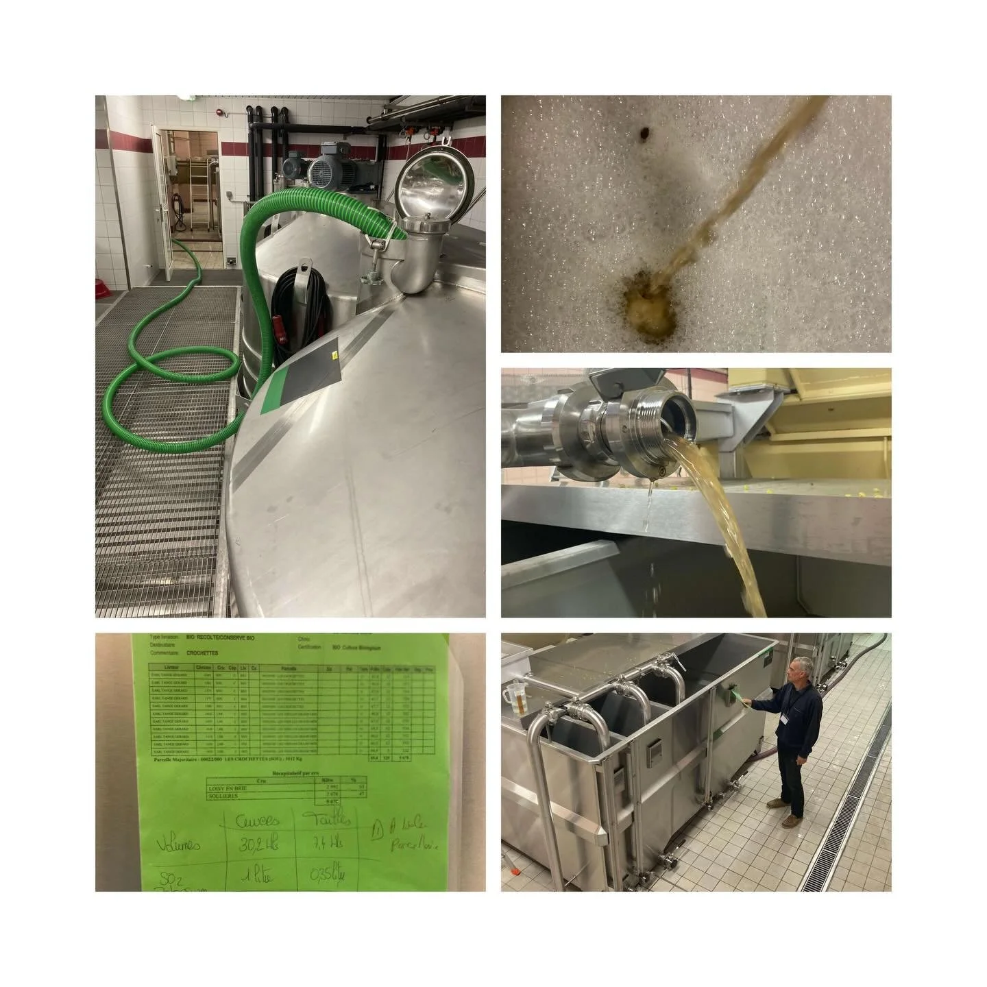 Throwback to the grapeharvest in the early days of September 2025. These wines are ready, we have assembled them, bottled them and now time will do the work these next years. We kept a bit on the side tgat we will present to champagne and wine profes