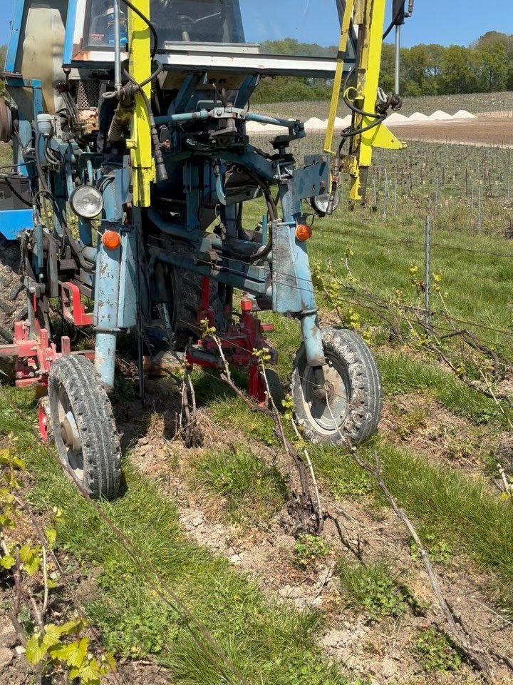Grasses or grapevines - the world is just not big enough for both. That is, we prefer to see the resources of the vineyards feed the grapevines rather than the grasses. As we have a backlog of grasses that spread too much for our taste since rainy 20