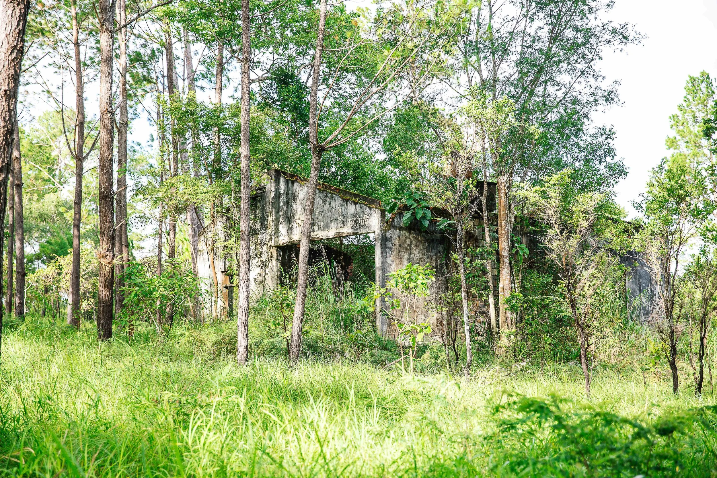 Ruin on Plateau.jpg