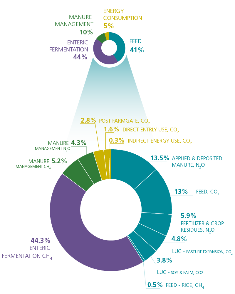 Figure 1 - Cow emissions  http://www.fao.org/gleam/results/en/