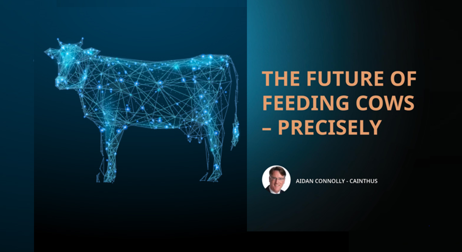 The future of feeding cows – precisely 