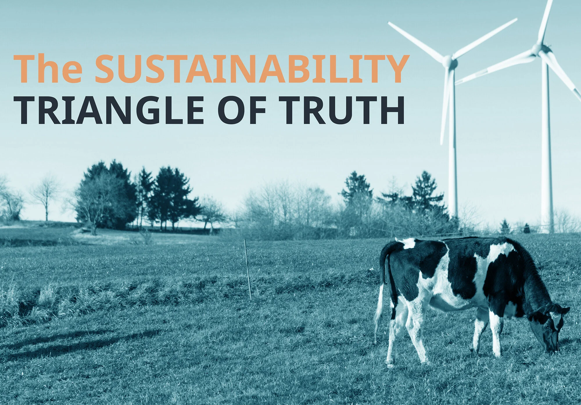 The Sustainability Triangle of Truth