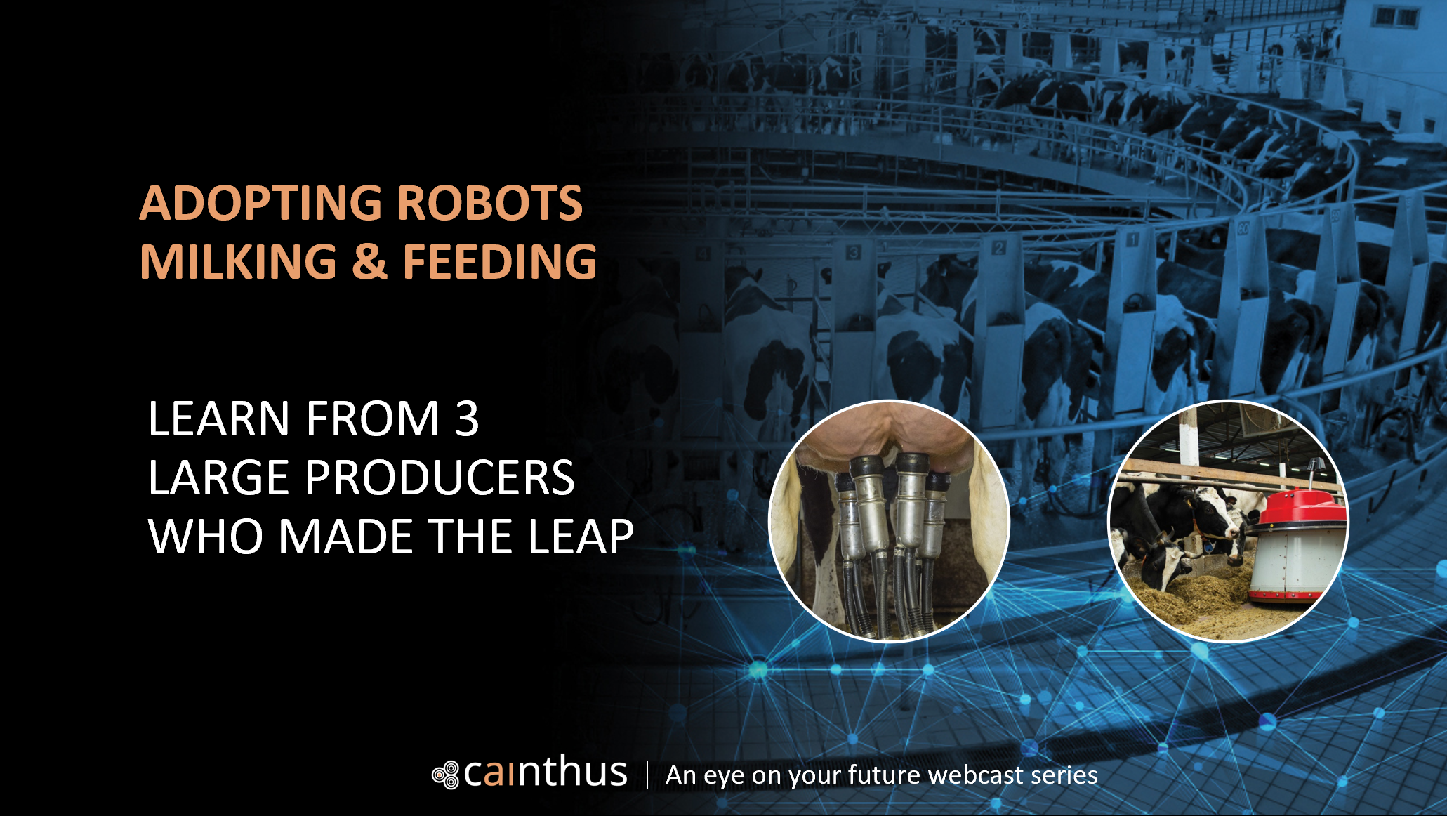 Webinar Robotics! Three large US dairy producers share their experiences  