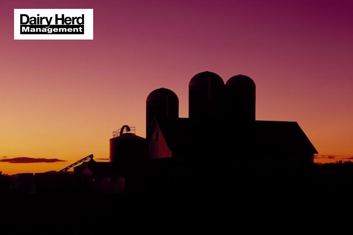 5 Mega Trends for Dairy Farming in 2021...and Beyond