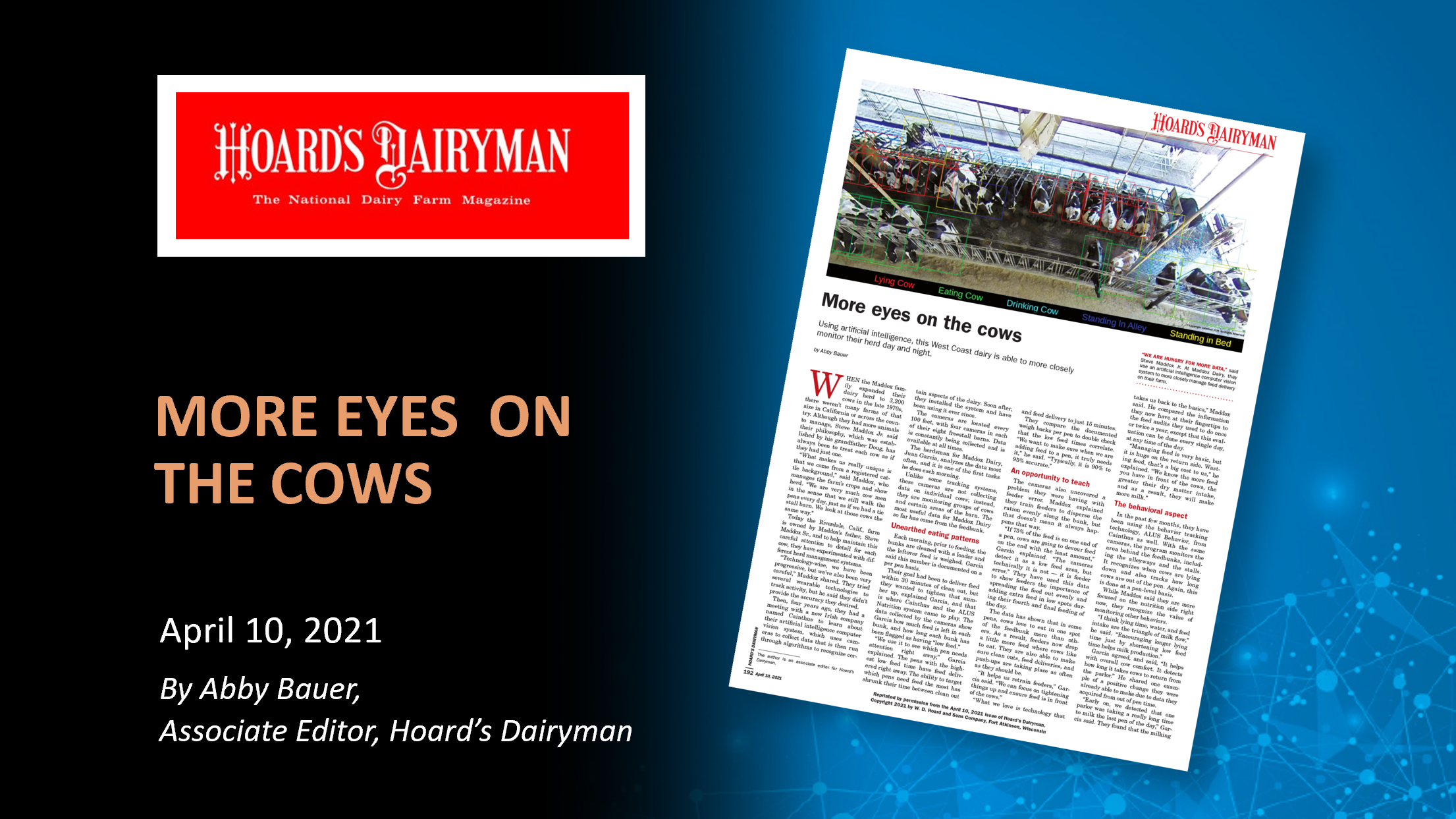 More eyes on the Cows