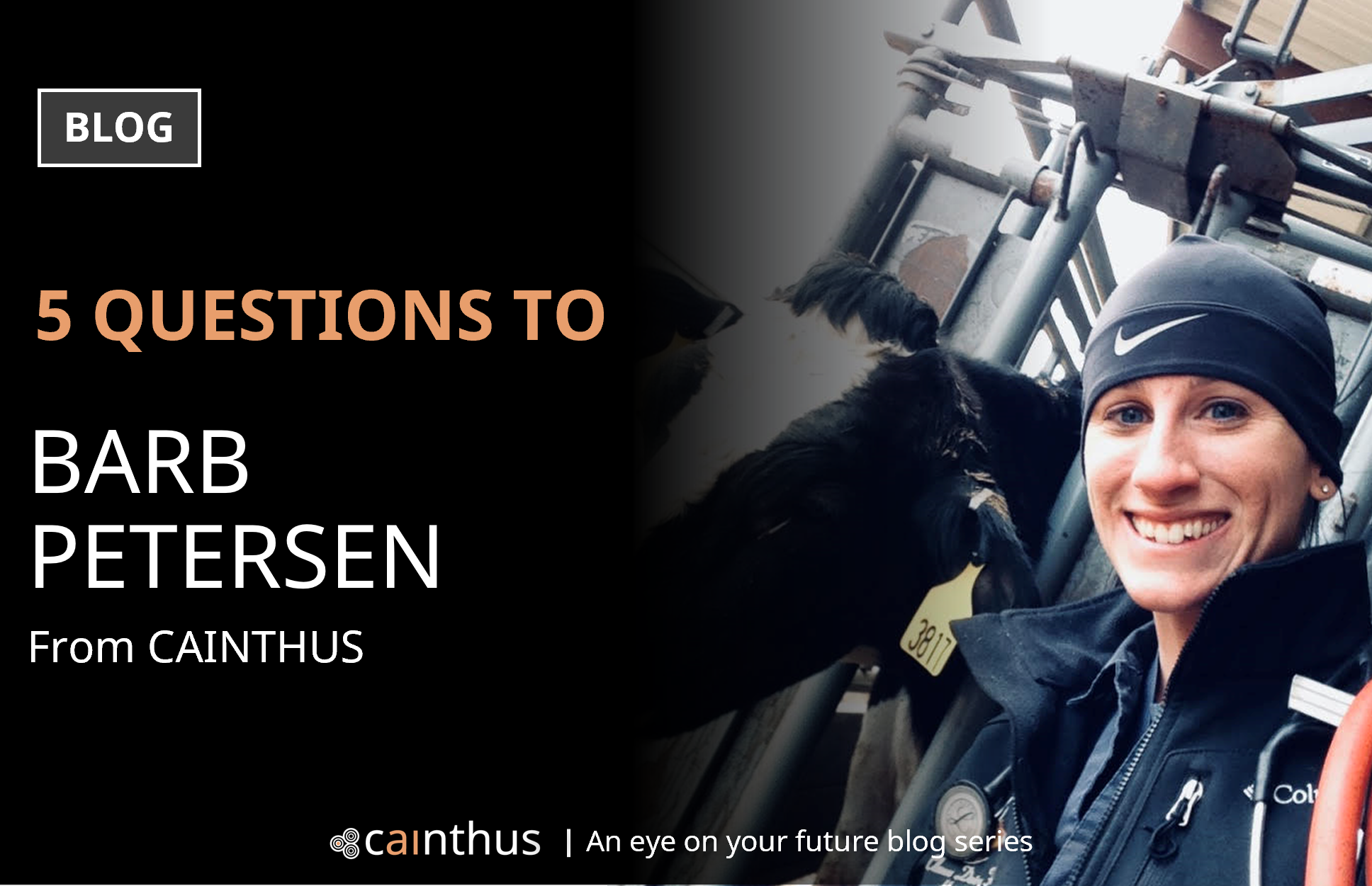 Welcome to Barb Petersen!