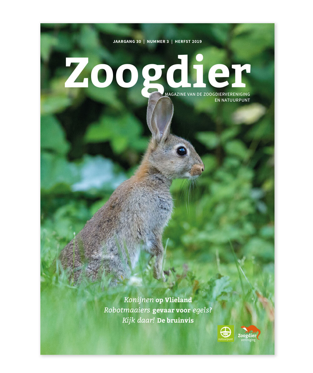 zoogdiermagazine-cover.jpg