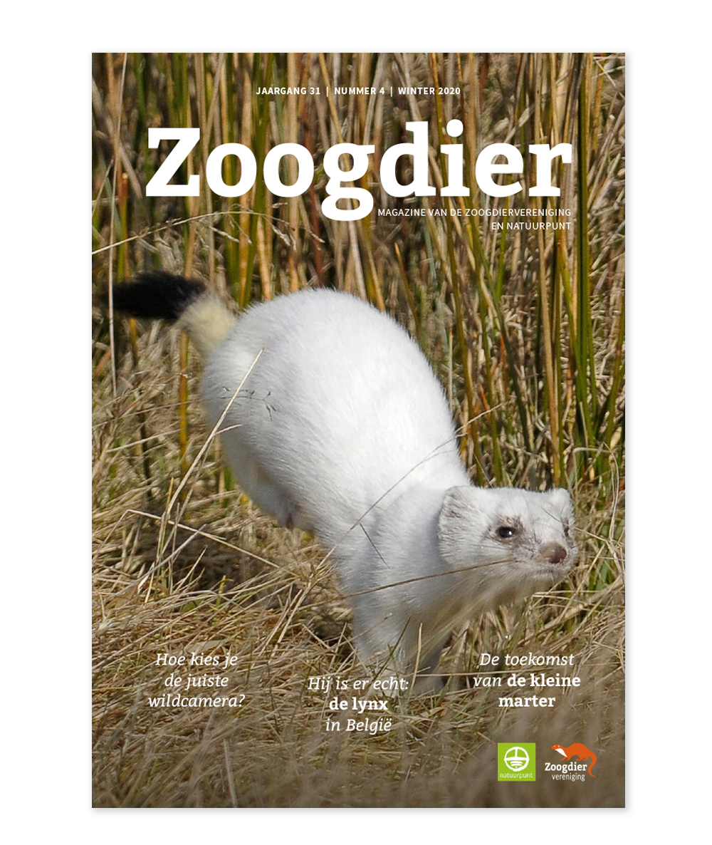 zoogdiermagazine-cover2.png
