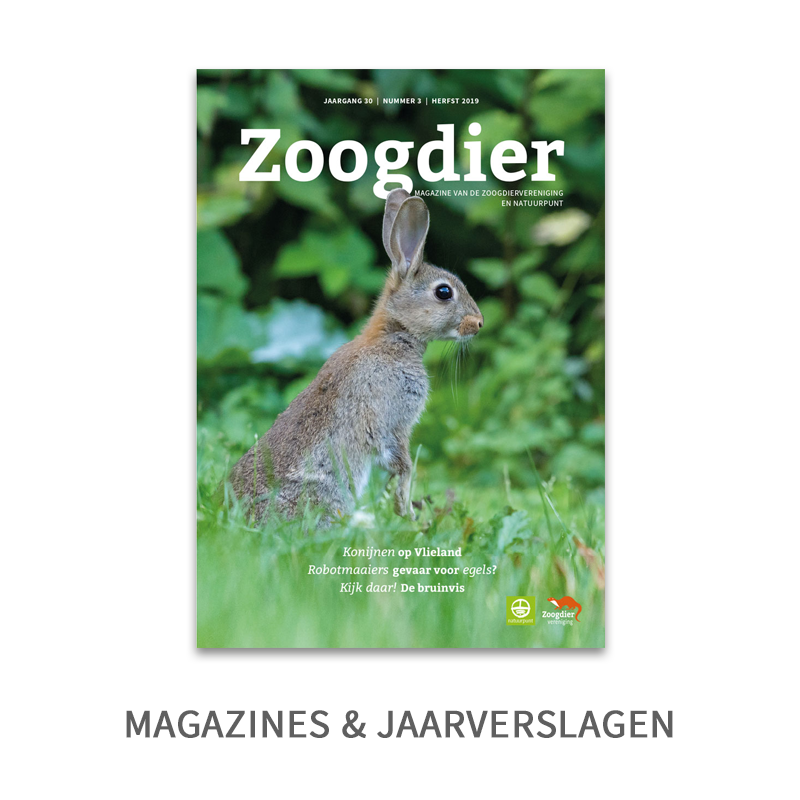 thumb-magazines-jaarverslagen2.png