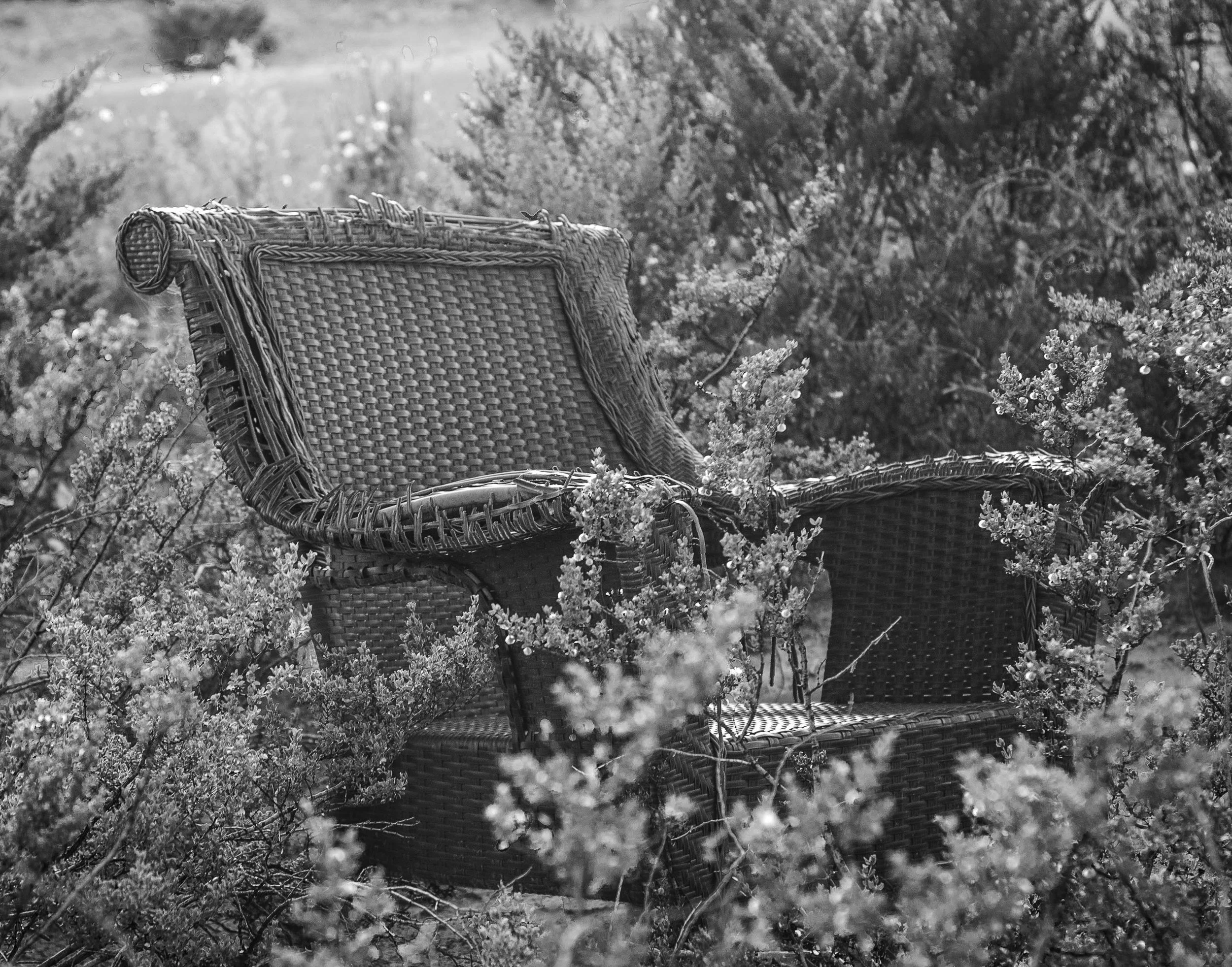 chairchair wicker-1.JPG
