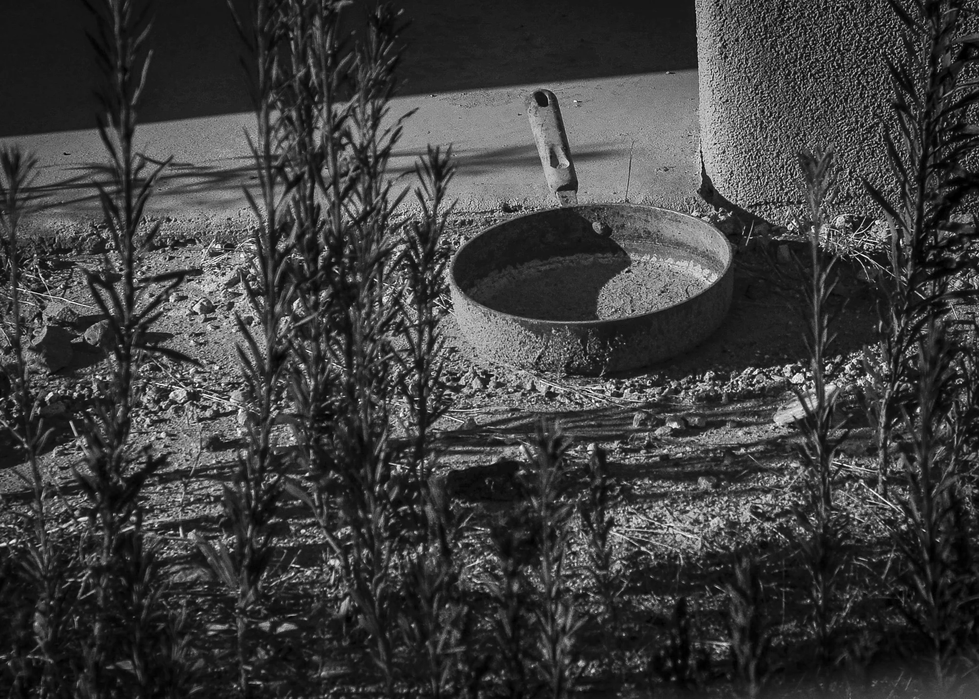 No DinnerCS7-2.JPG