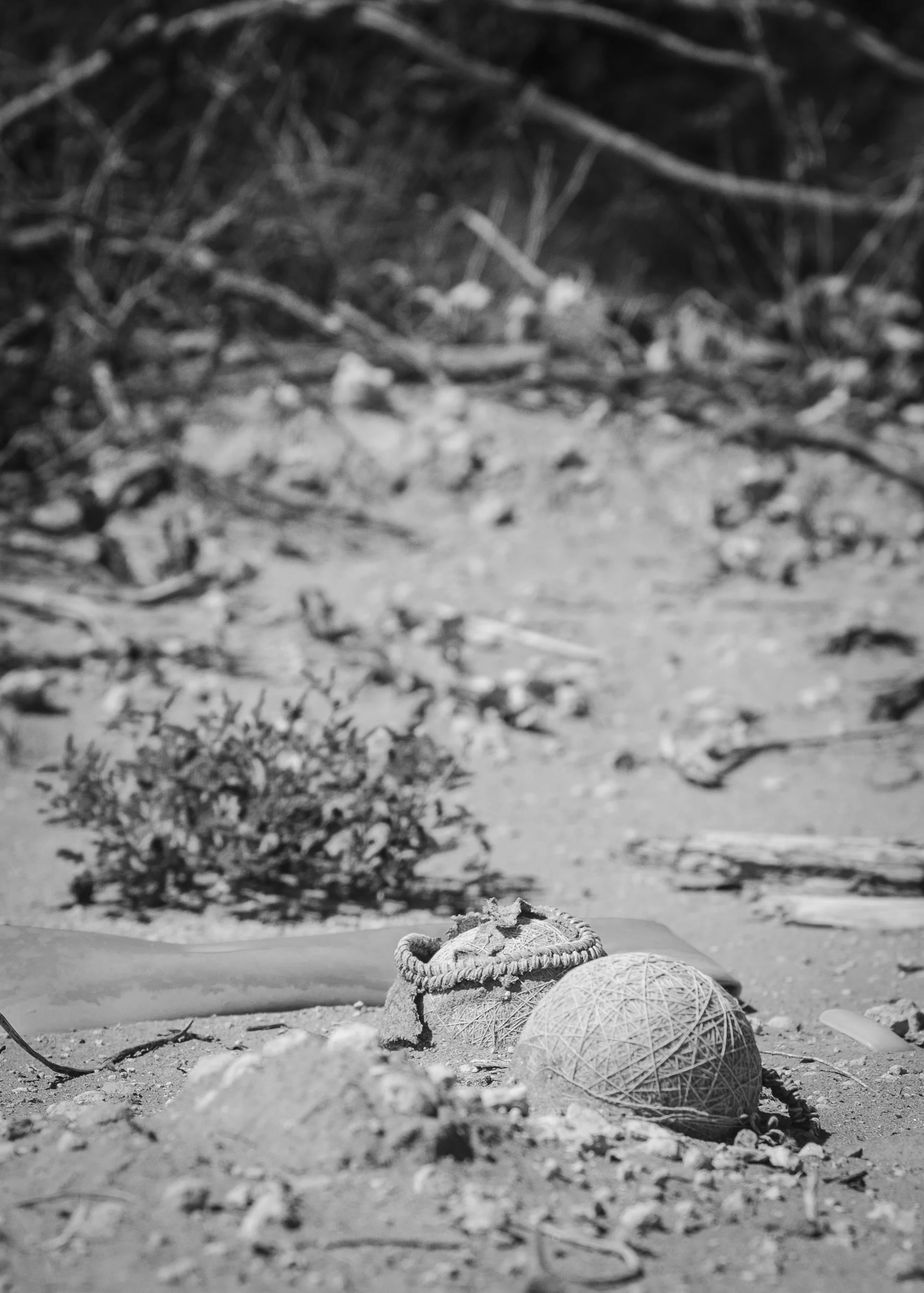 The Last GameCS5.JPG