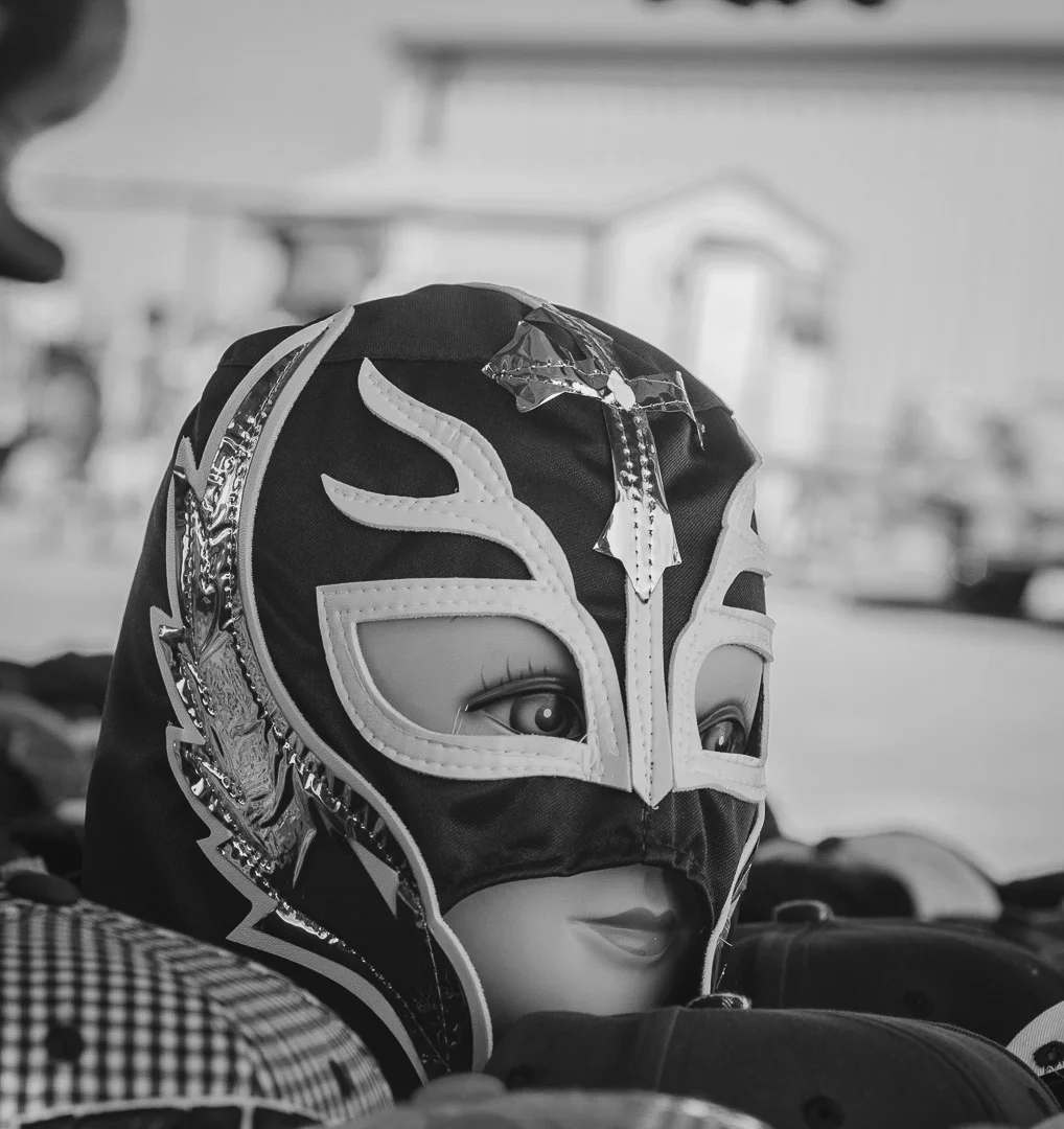 Help Memasked gal.JPG