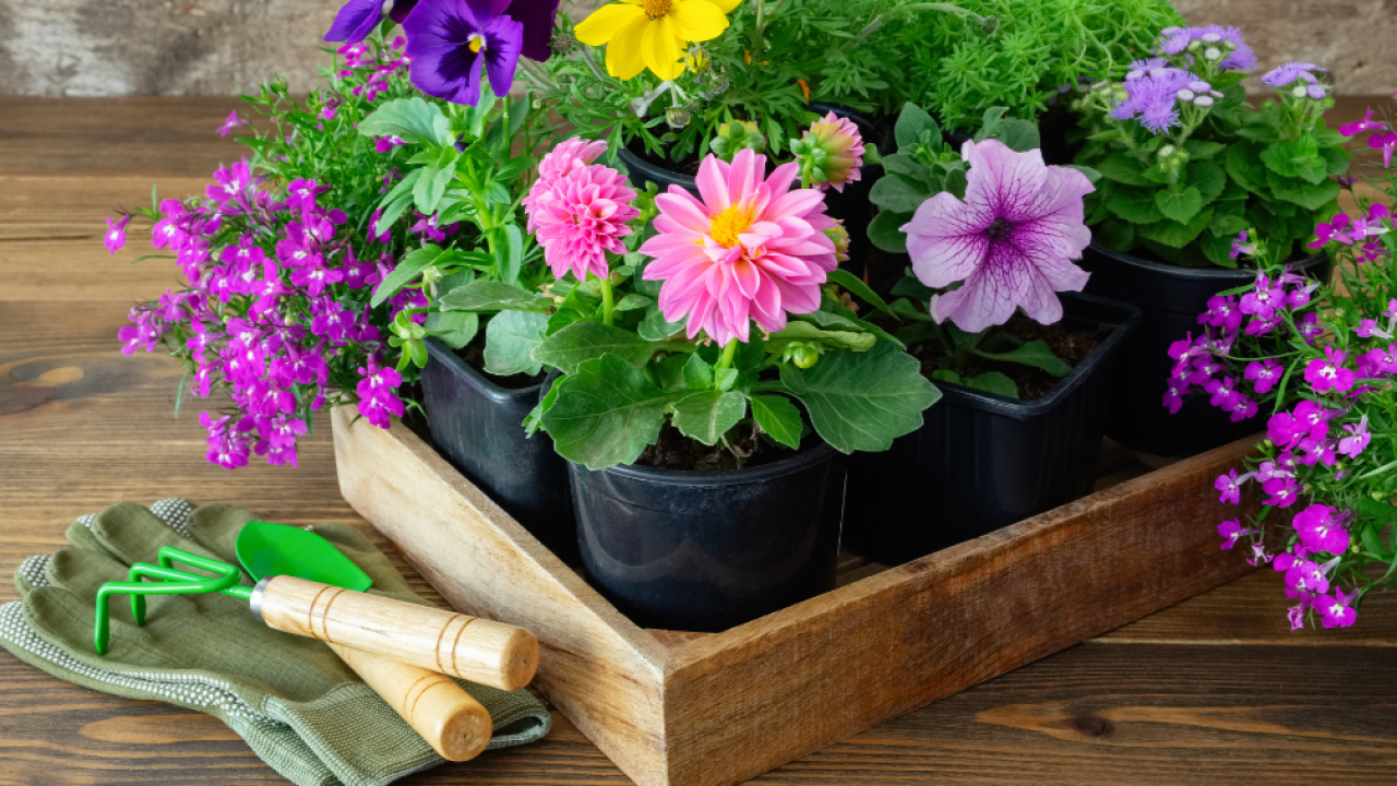 The Summer Container Workshop at Orchard Yard - 19 May 2023