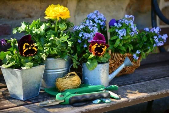 The Autumn Container Workshop at Orchard Yard - 28 September 2023