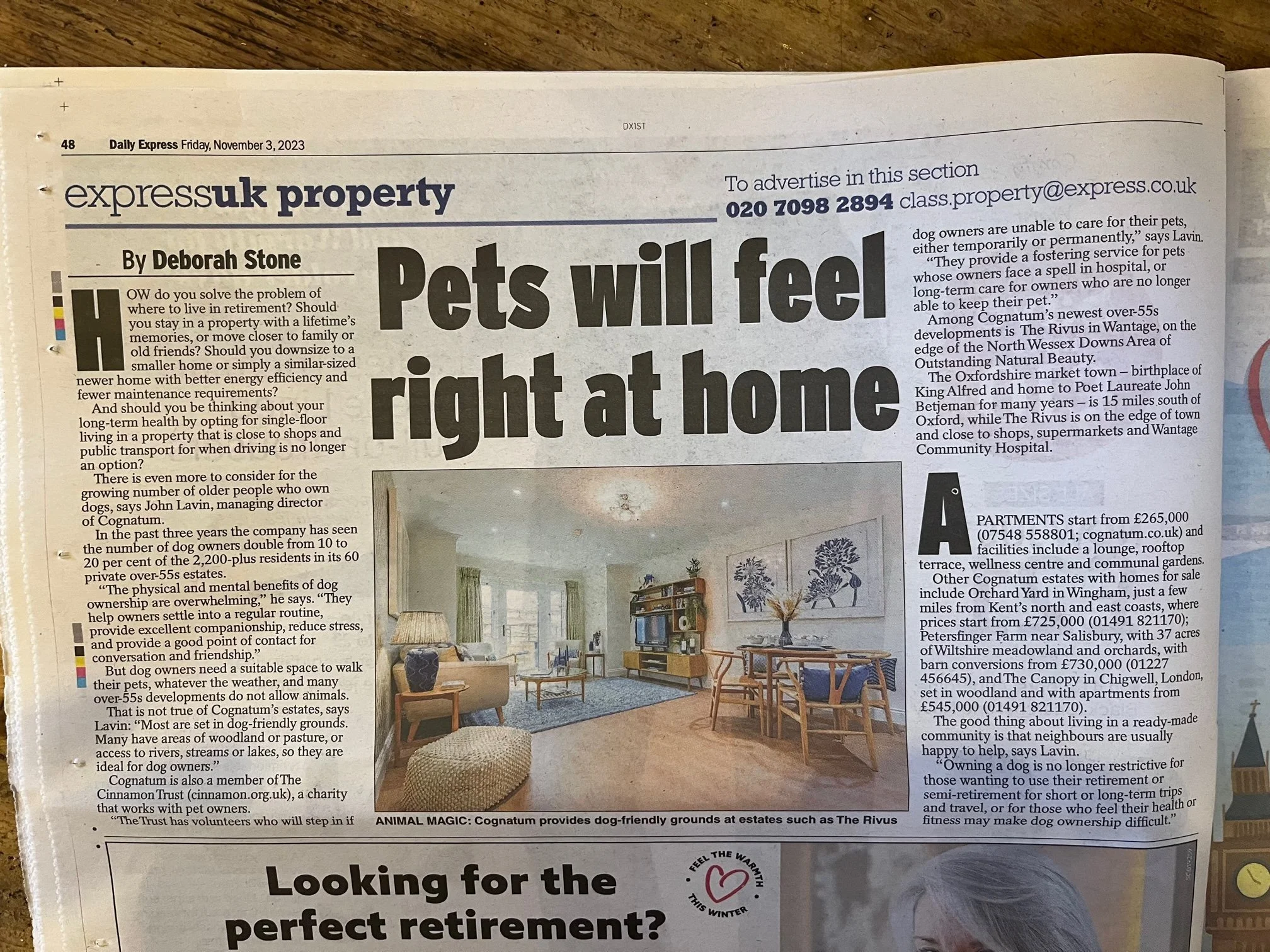 Pets will fell right at home