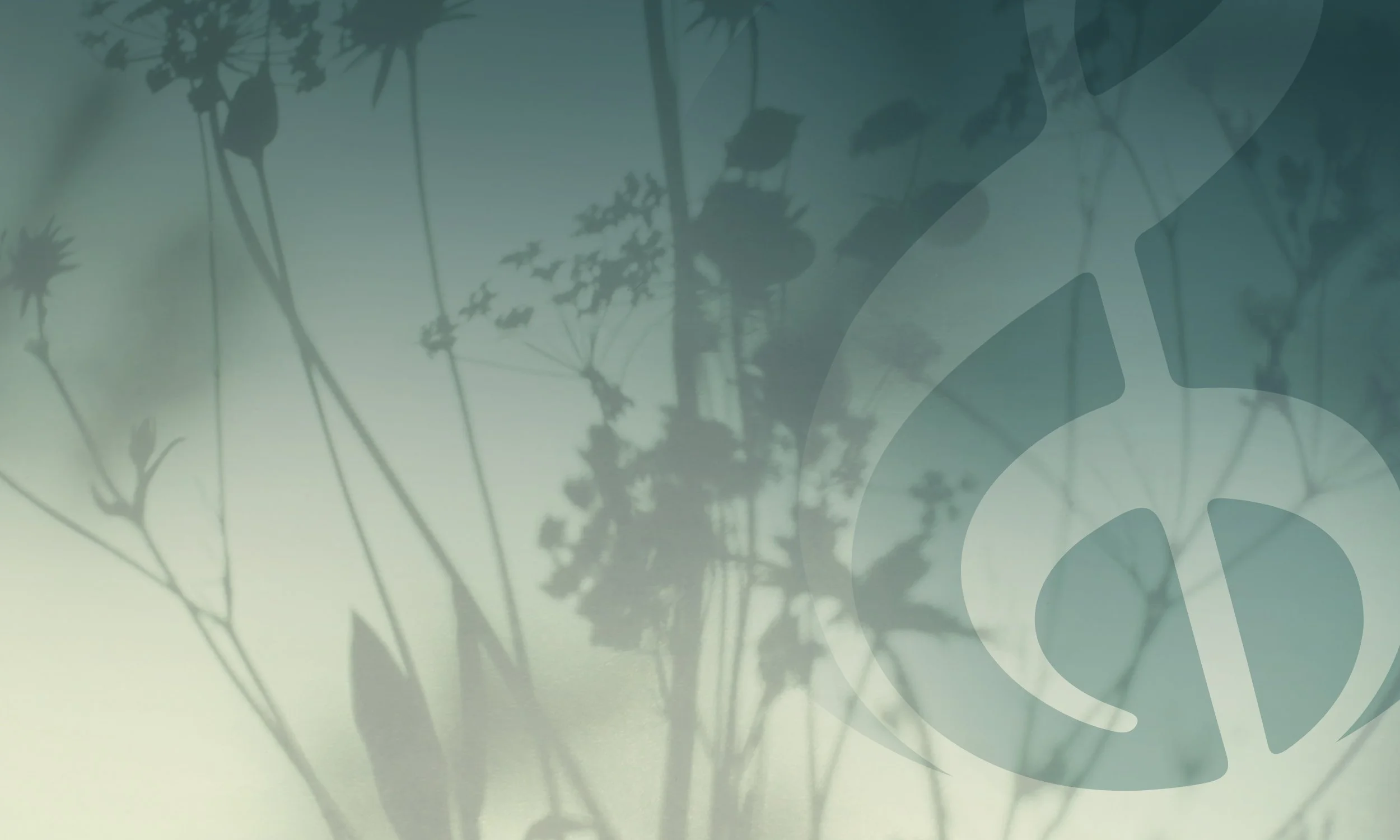 Homepage Header.jpg