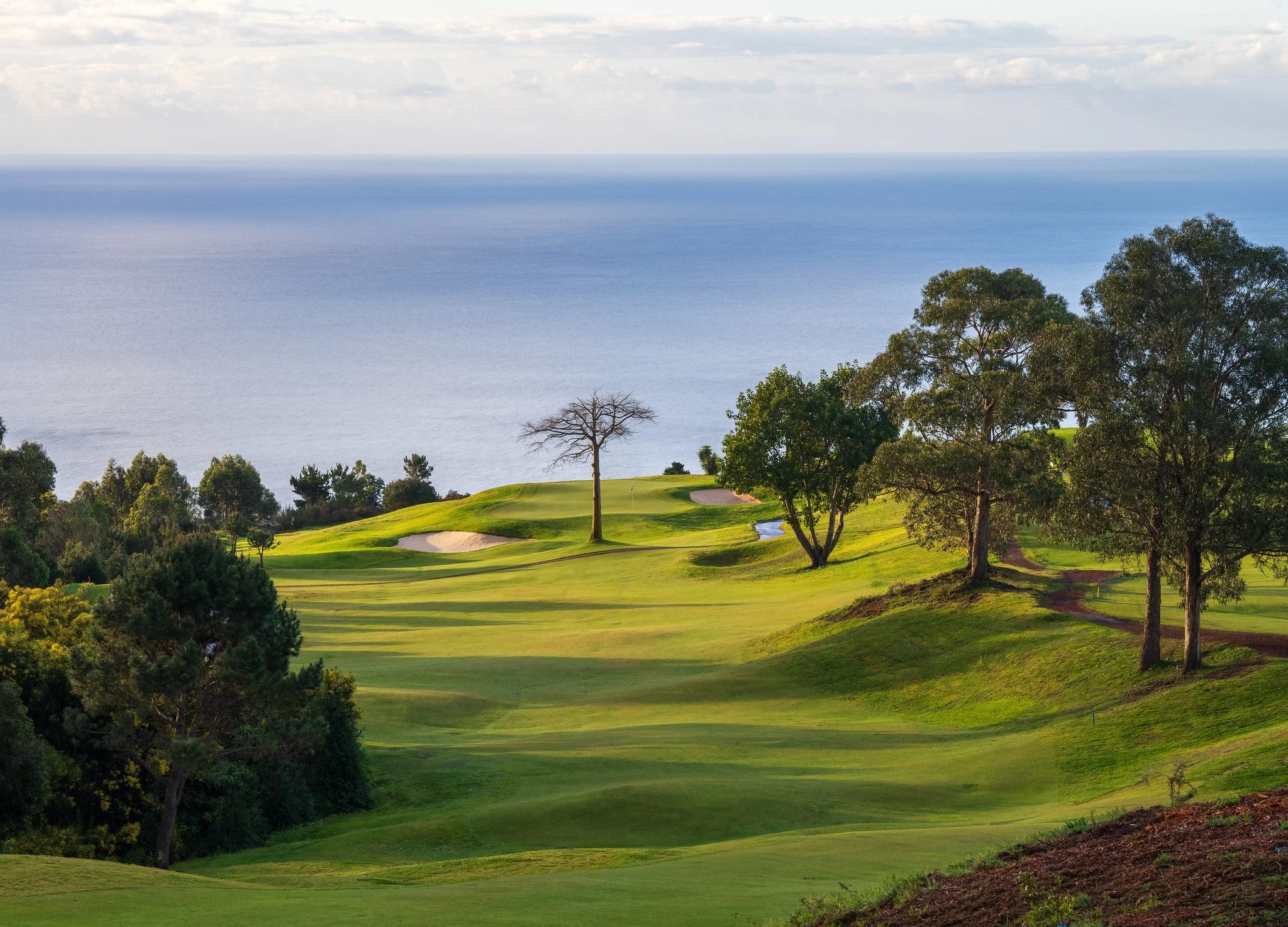MADEIRA REPORTS DOUBLE-DIGIT GROWTH AS GOLF INTEREST CONTINUES TO RISE