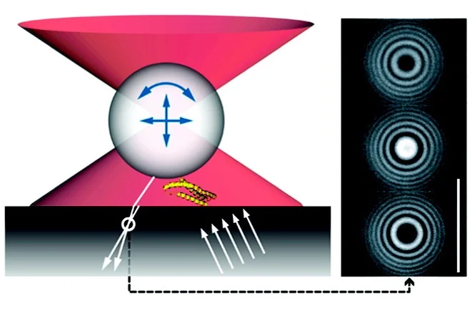 Langmuir.jpg