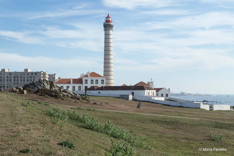 20181005_0043-2.jpg