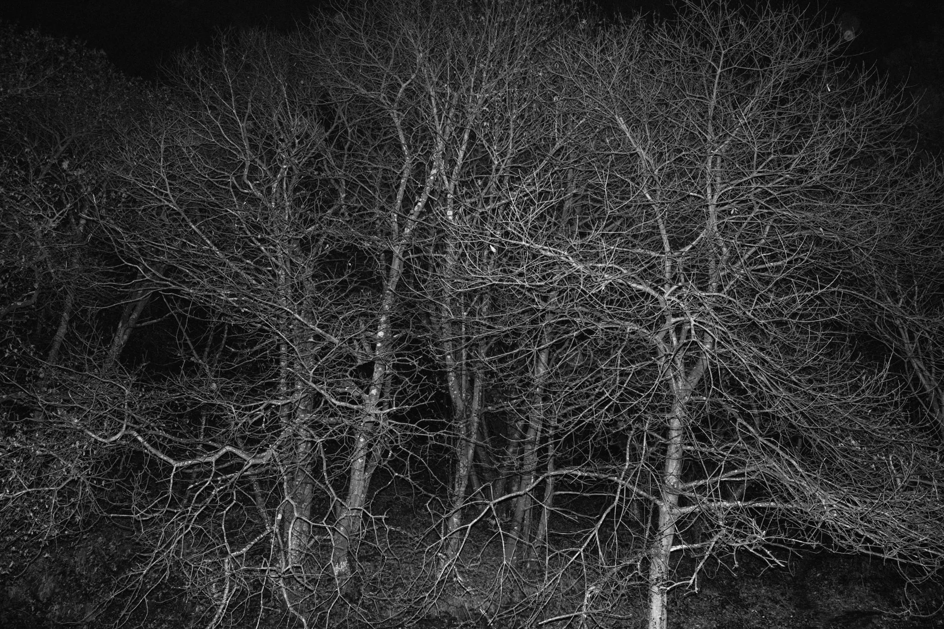 Walk by day because night is ours