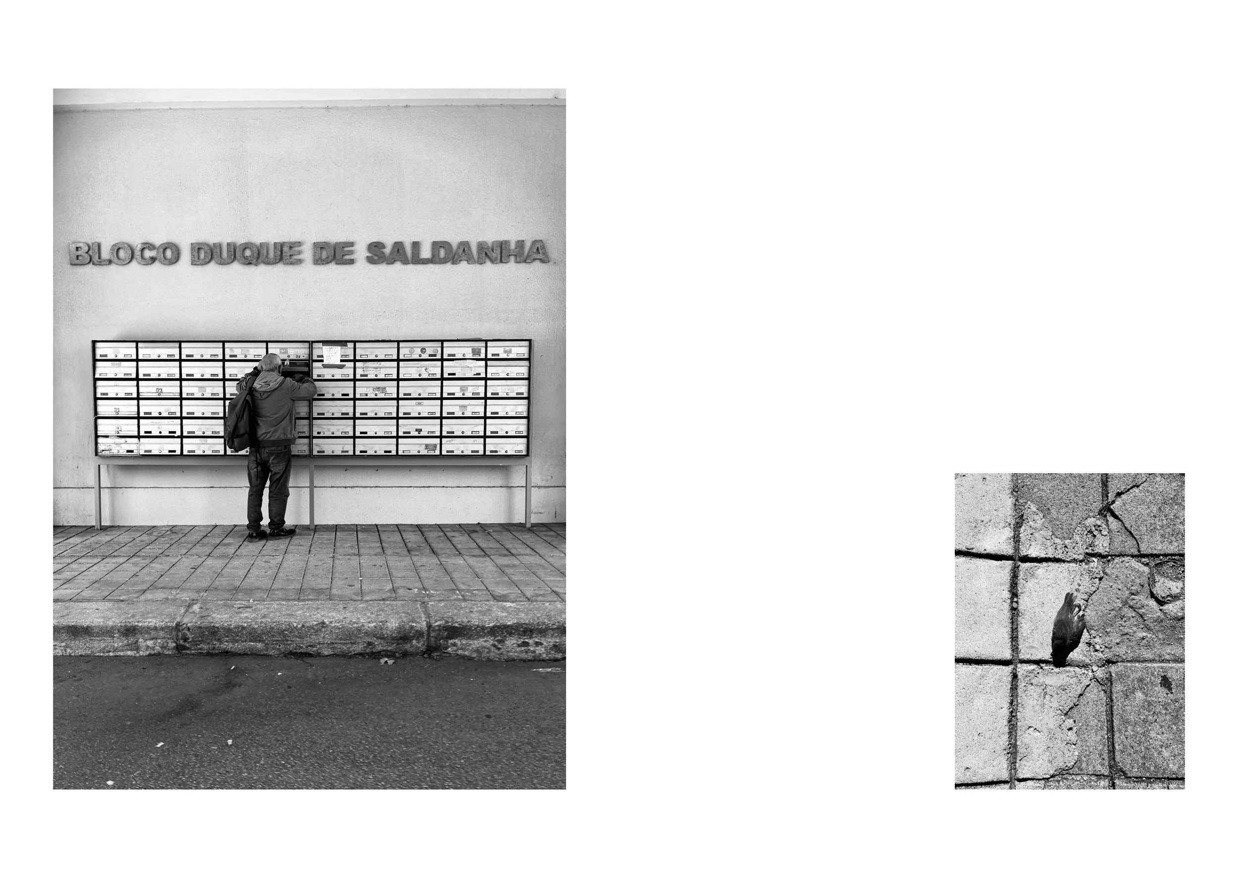 Carpeta duque de saldanha photobook v04_Page_05.jpg
