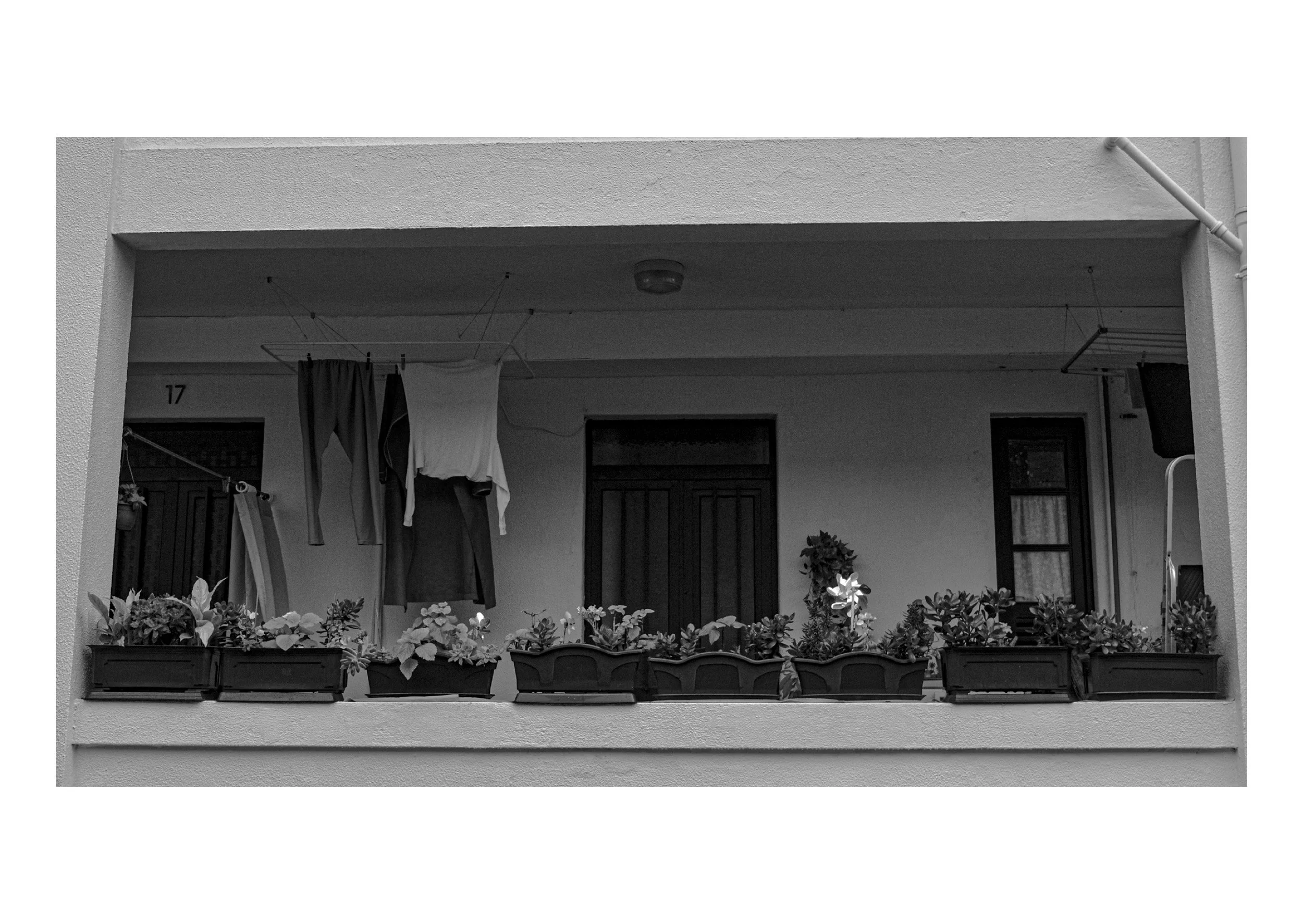 Carpeta duque de saldanha photobook v04_Page_17.jpg