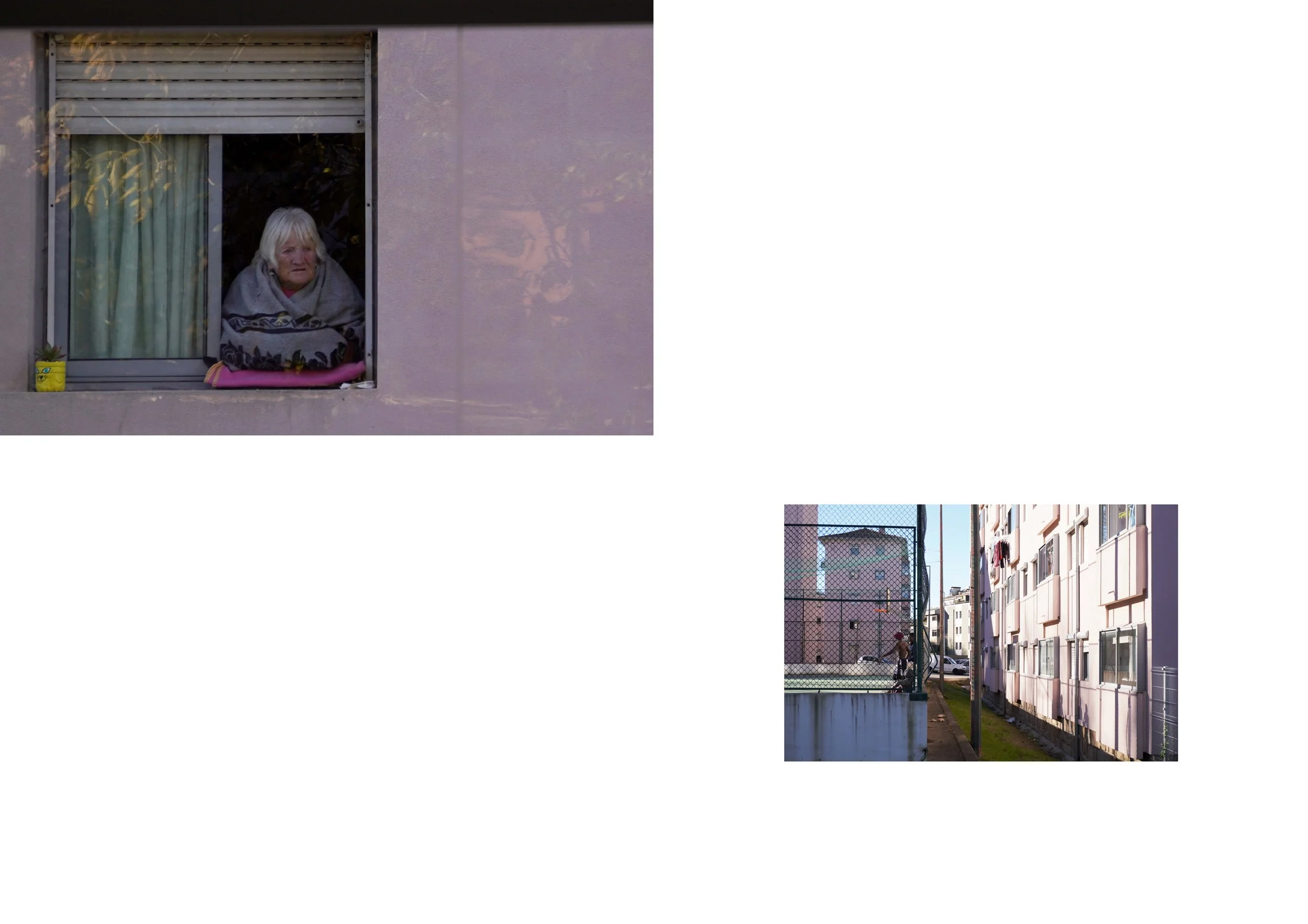 AGRA AMIAL, 16:01:26_4.jpg