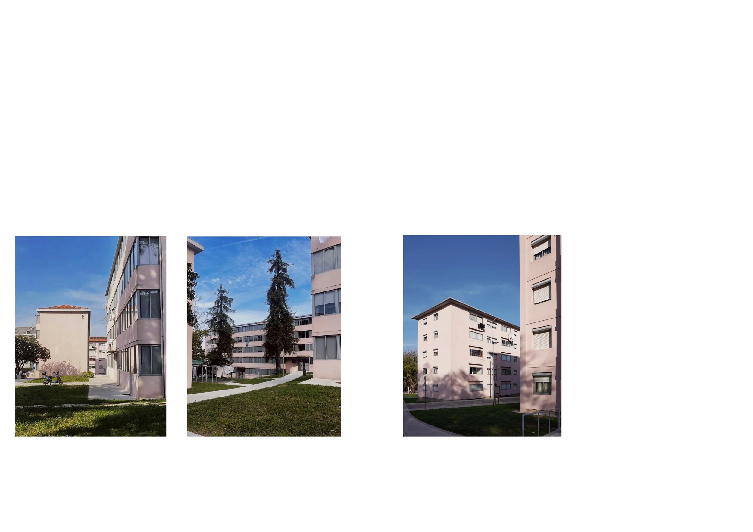 AGRA AMIAL, 16:01:26_7.jpg