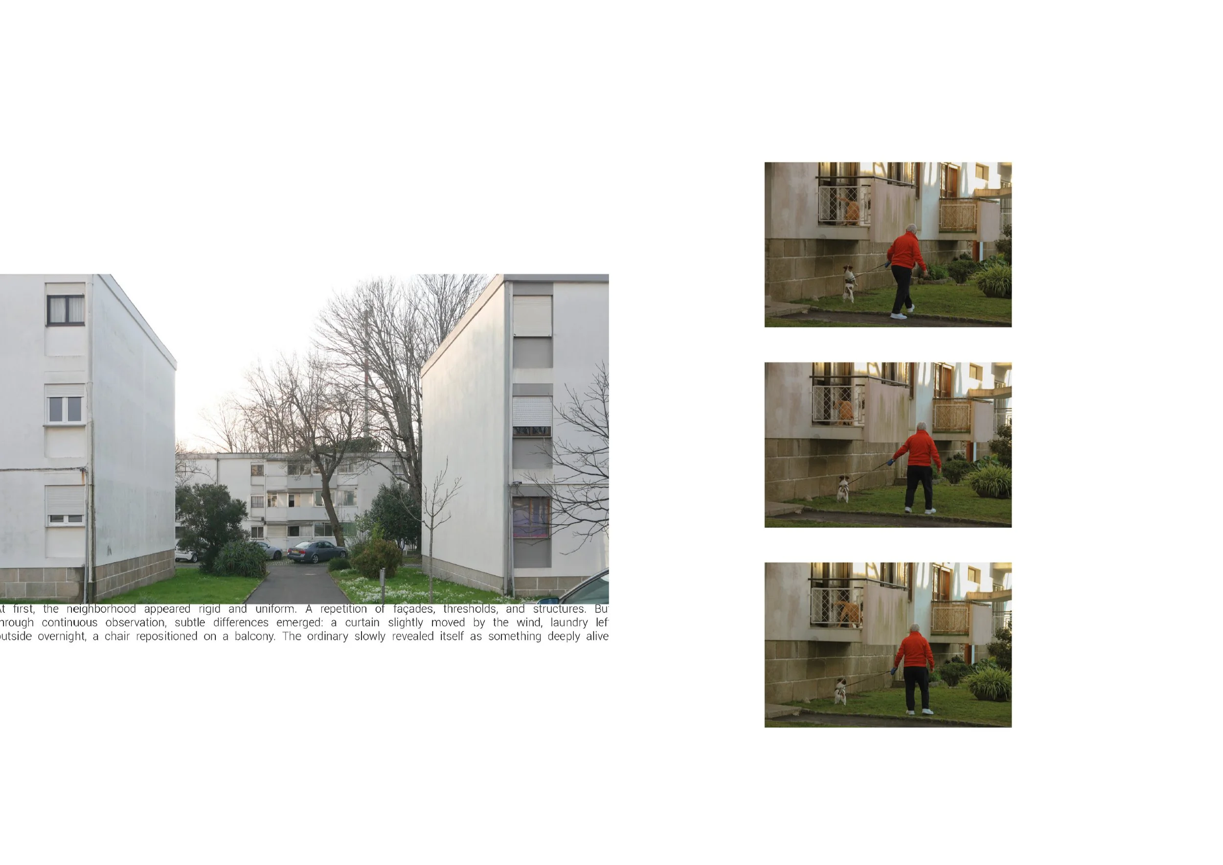 GRUPO_5_INHABITING TÁVORA'S_3.jpg