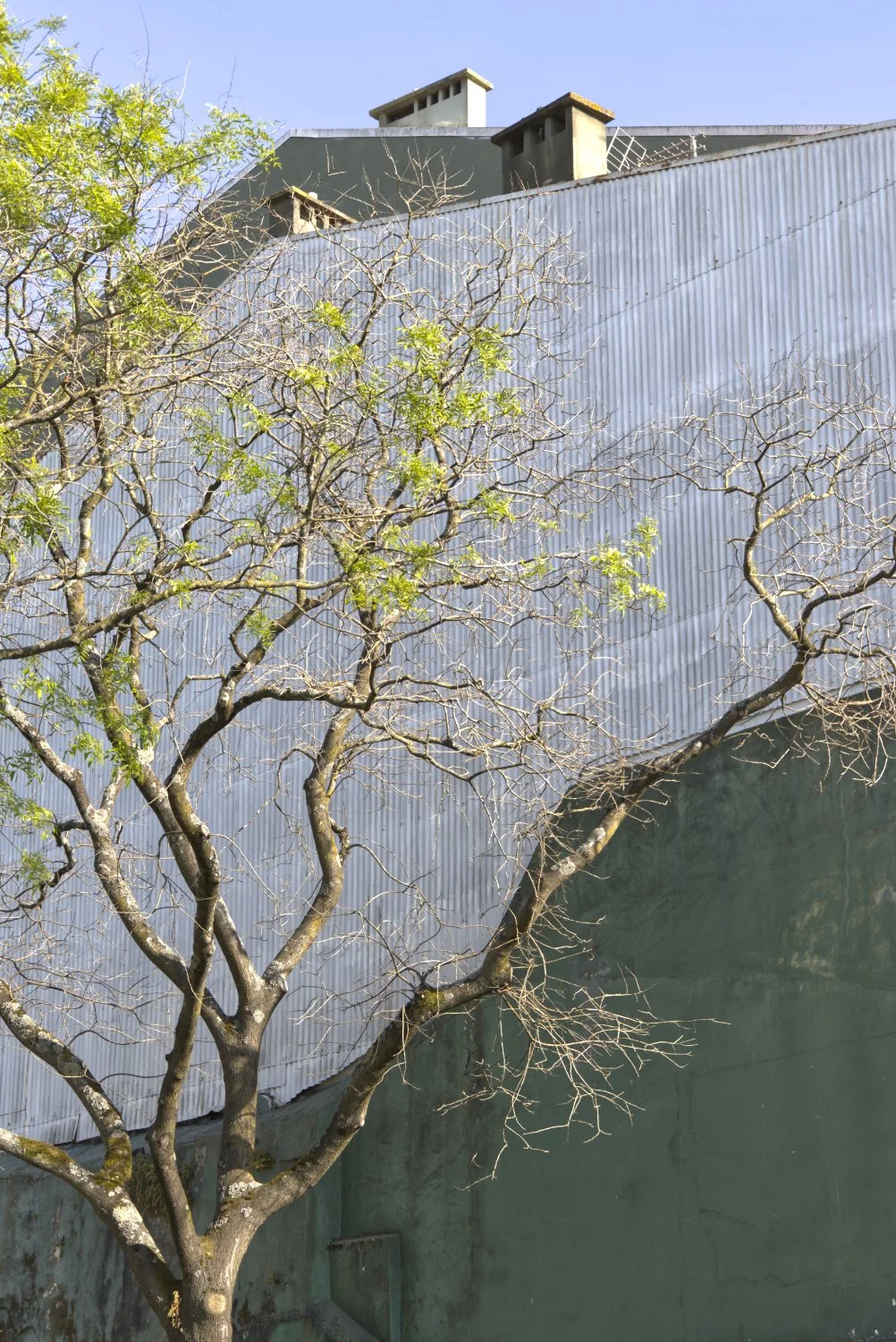 03.jpg