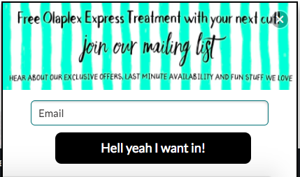 salon-website-ideas.png