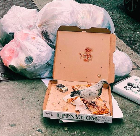 Screen Shot 2019-08-21 at 11.05.47 PM.png