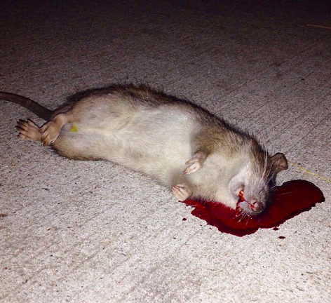 Screen Shot 2019-08-21 at 11.09.05 PM.png